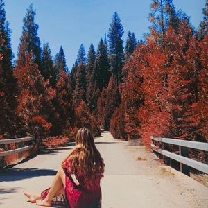 Meet your Posher, Kristen